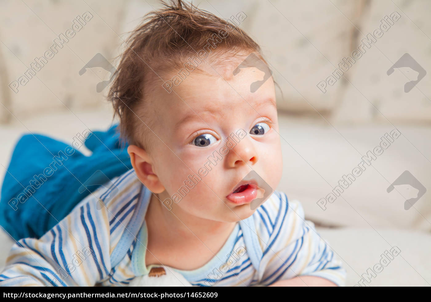 2 Maneder Gammel Baby Dreng Derhjemme Stockphoto 14652609 Panthermedia Billedbureau